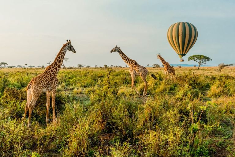 Serengeti National Park