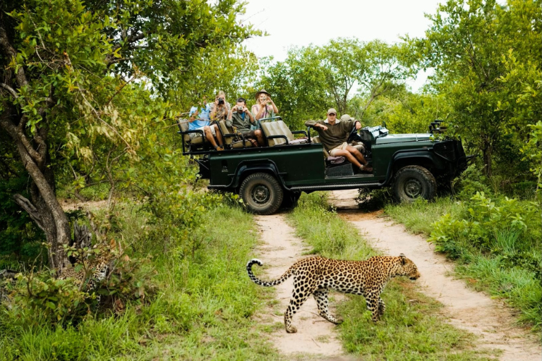 kruger national park
