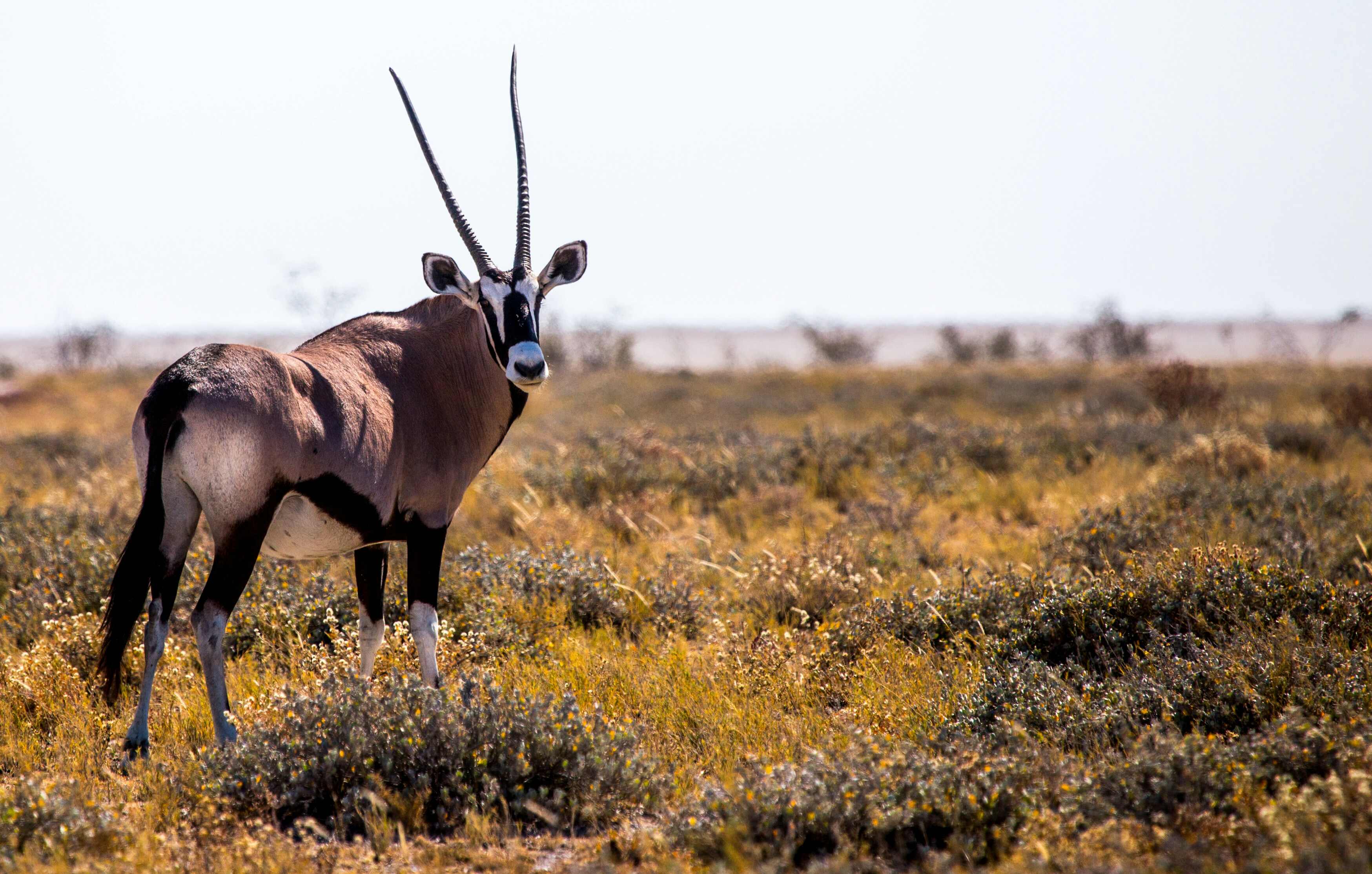 Namibia