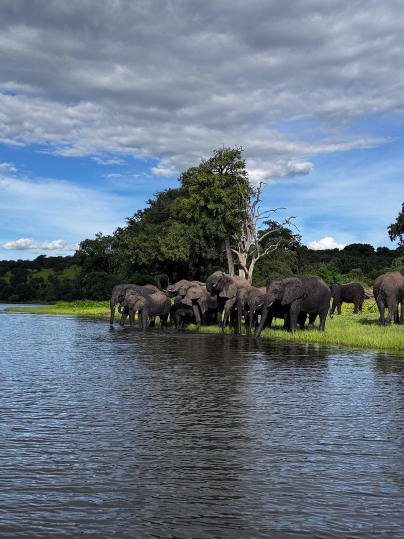 10 Day Explore Namibia