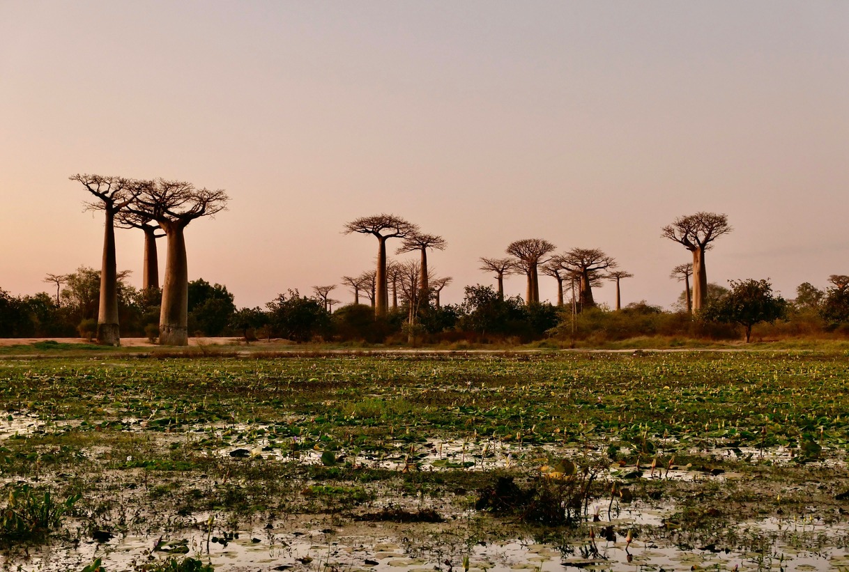 8-Day Madagascar Highlights Itinerary