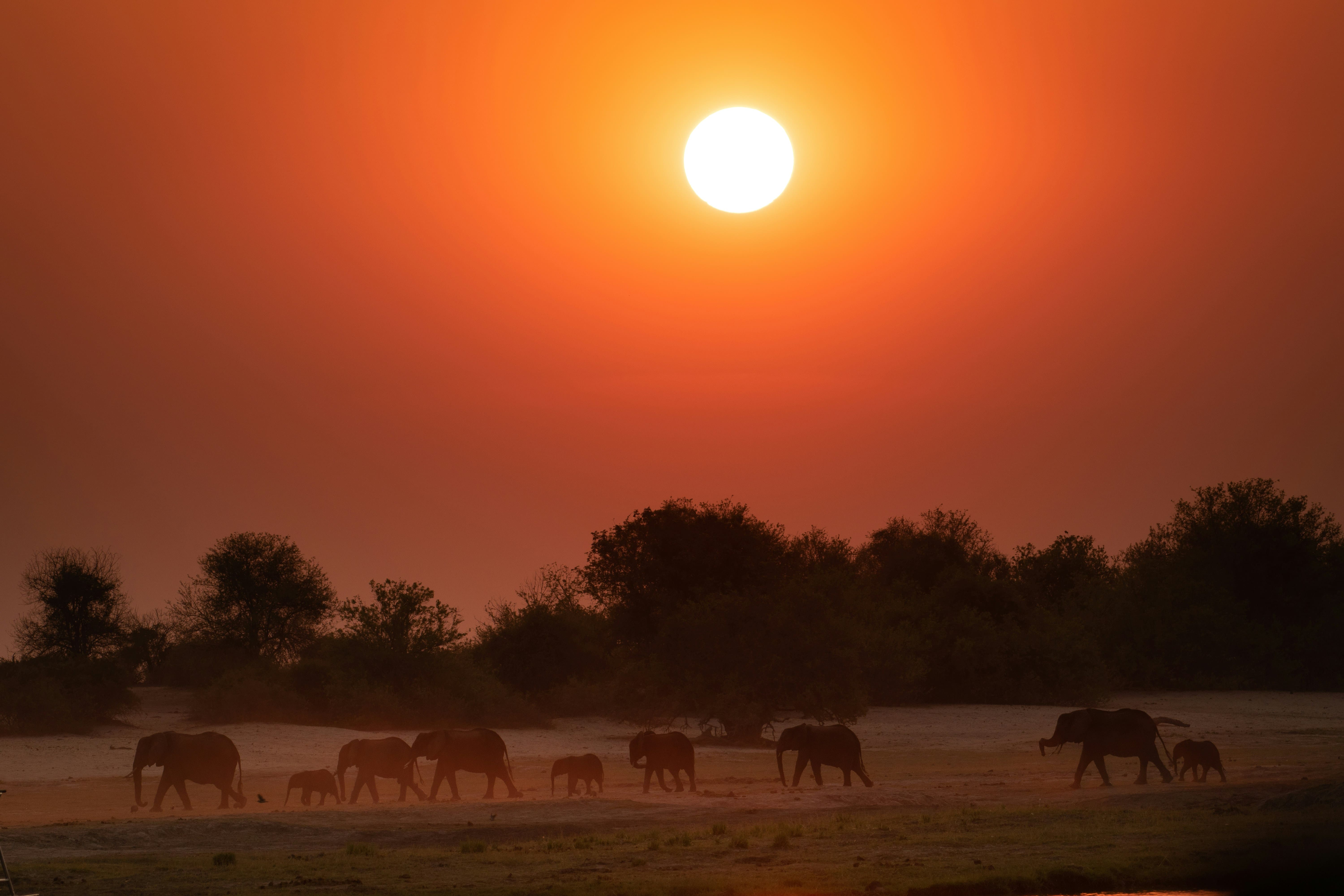 10 Day Namibia Safari: Sossusvlei Dunes: Damaraland & Etosha