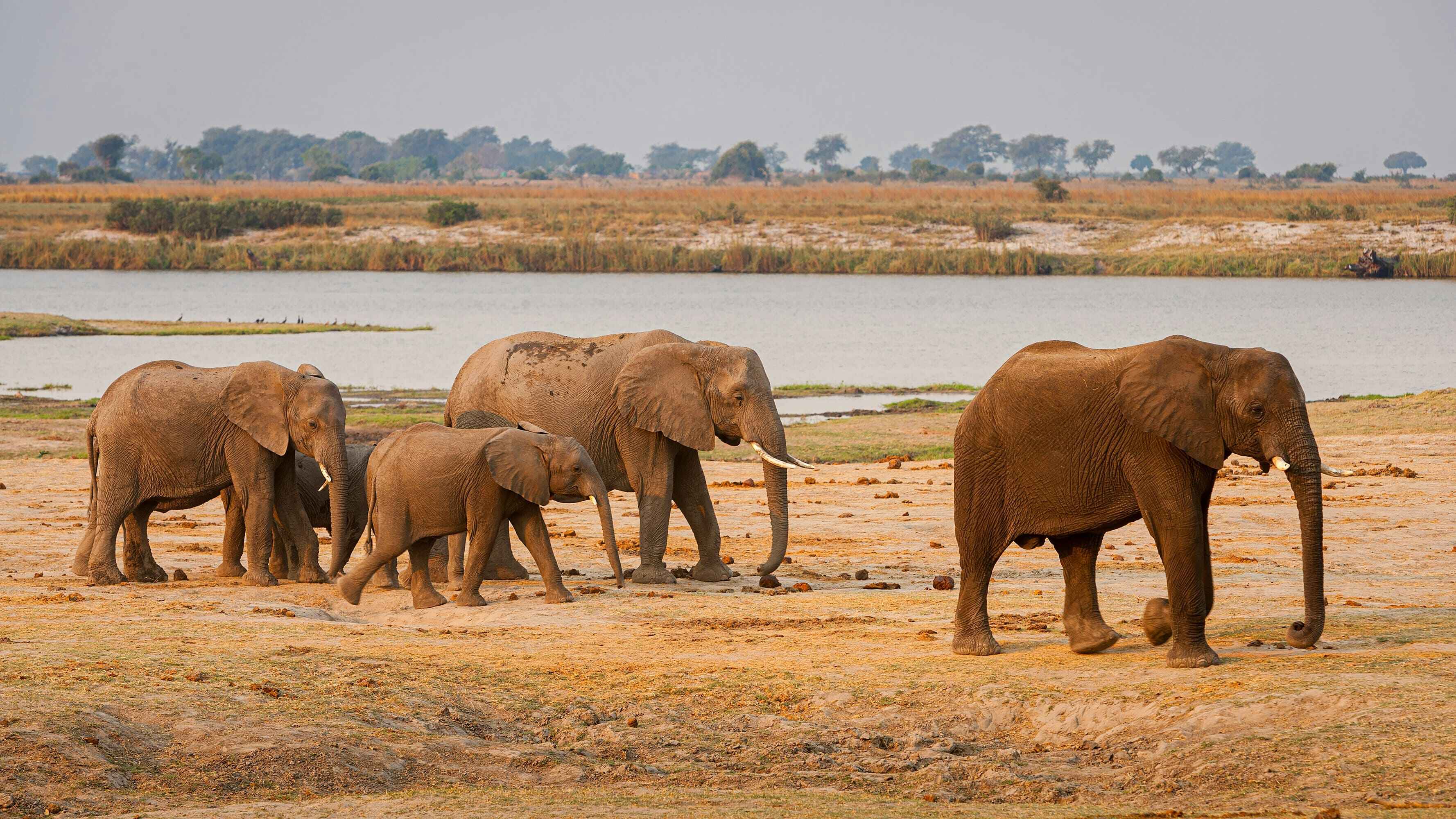 16 Day Grand Namibian Safari: Kalahari, Sossusvlei, Epupa Falls & Etosha