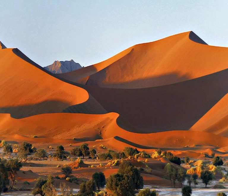 15 DAY | 14 NIGHT Full Circuit Namibia Wildlife Adventure