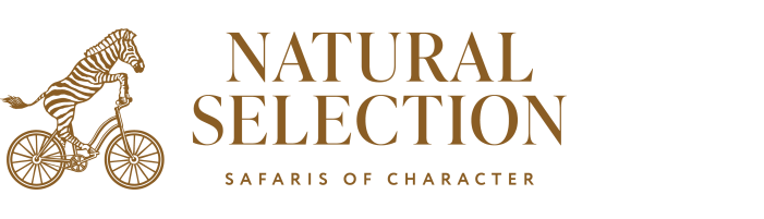 Natural-Selection_RGB_Primary-Logo_Dark-Gold-2