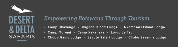 dds-signature-grey_6ef3ee49-510a-41b8-beb0-b92b365a0bb8